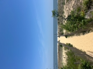 1508 West Oceanview Ave. - 1